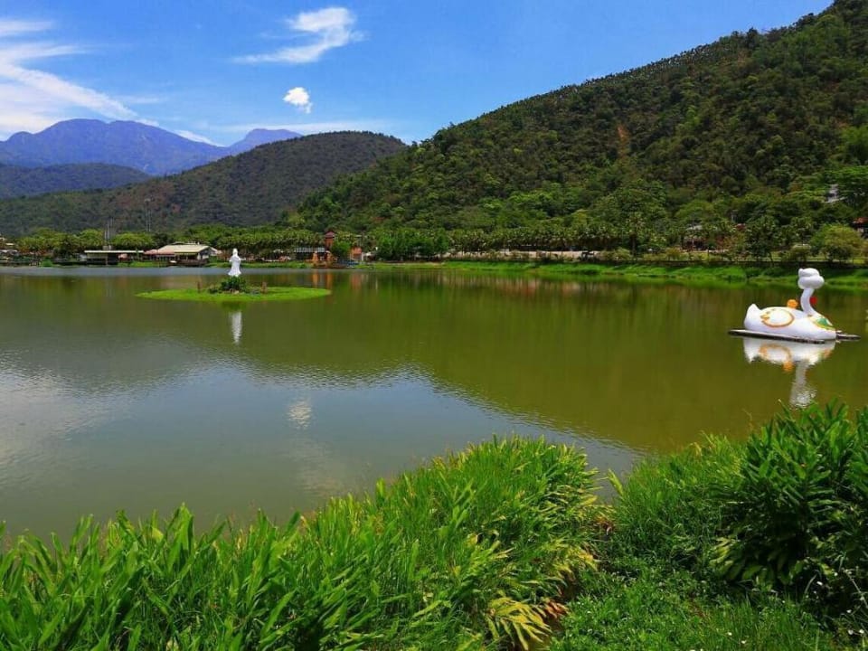 Bella Forest Homestay Bed and Breakfast in Taiwan, Province of China