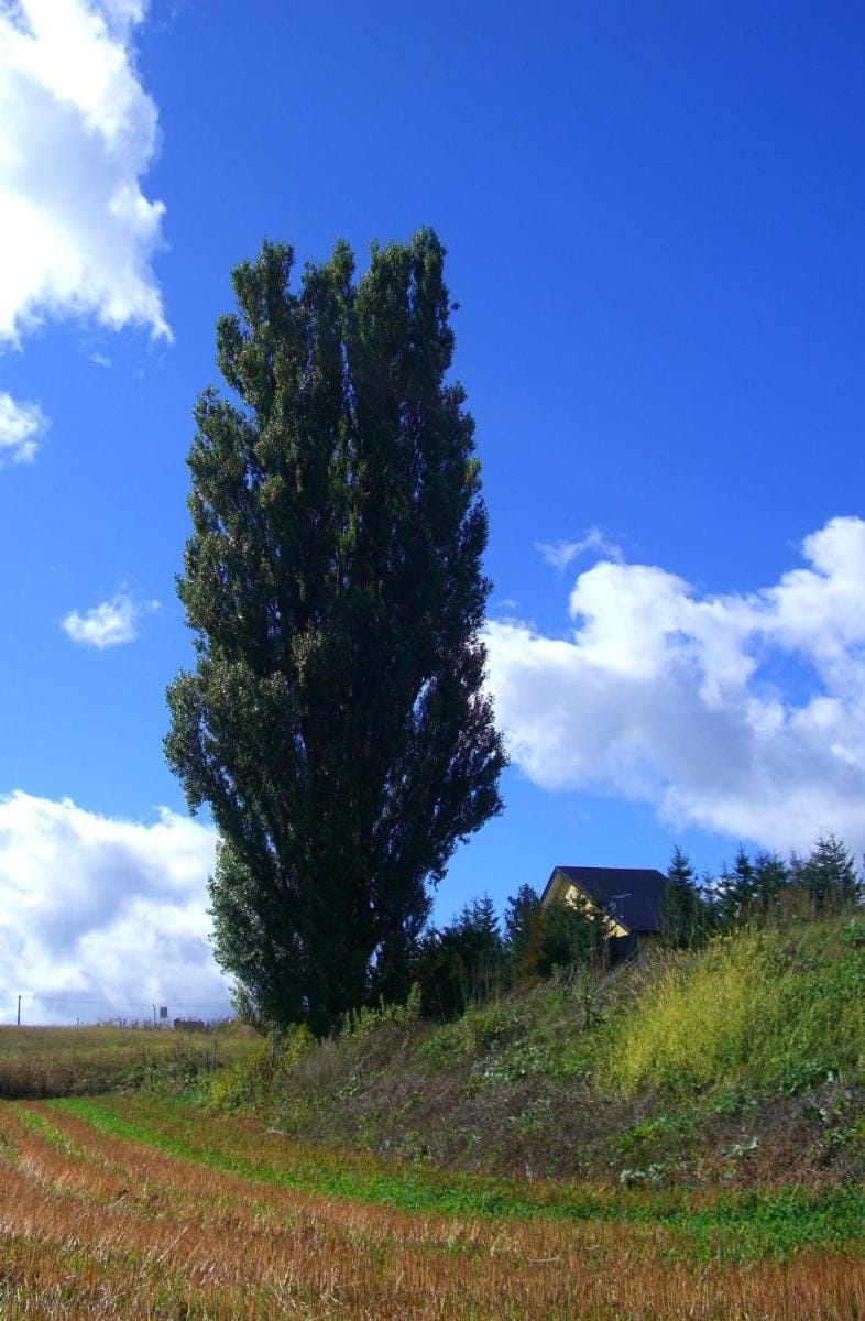 B&B Ken&Mary Country House in Hokkaido Prefecture