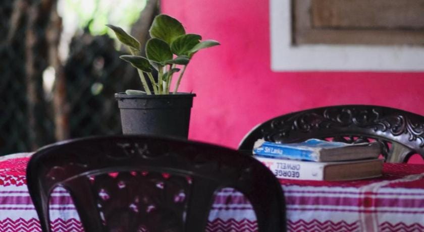 Green Grass Homestay Vacation rental in Dambulla