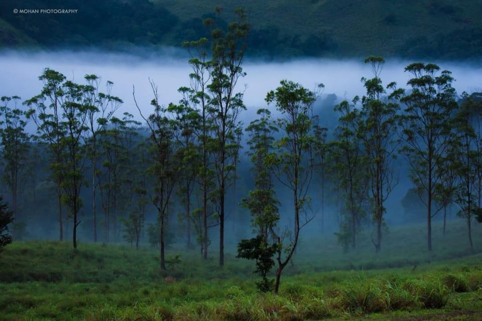 Monsoon Retreats by DAAN Hotel in Kerala
