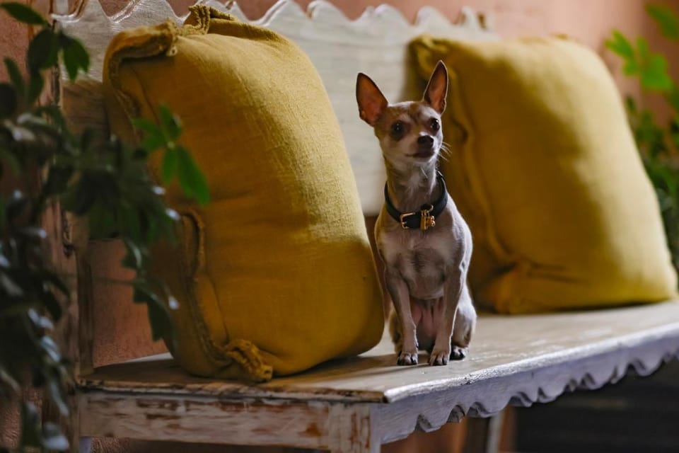 Hacienda Peña Pobre Hotel in Mexico City