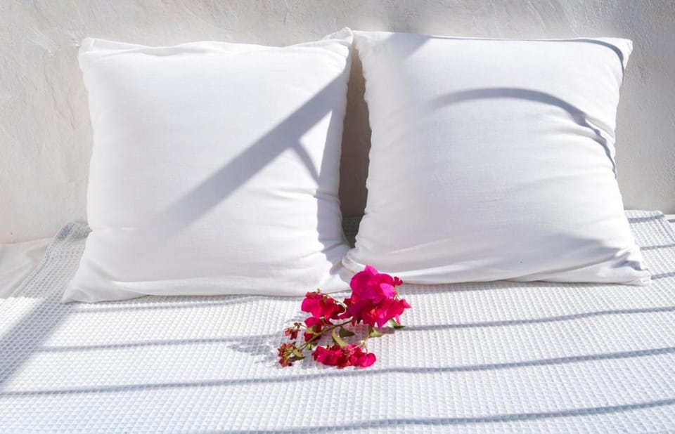 Agroturismo Can Cosmi Prats Farm Stay in Ibiza