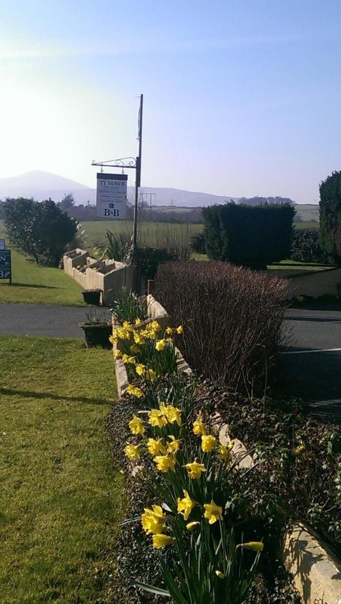 Groeslon Ty Mawr B & B Bed and Breakfast in Wales