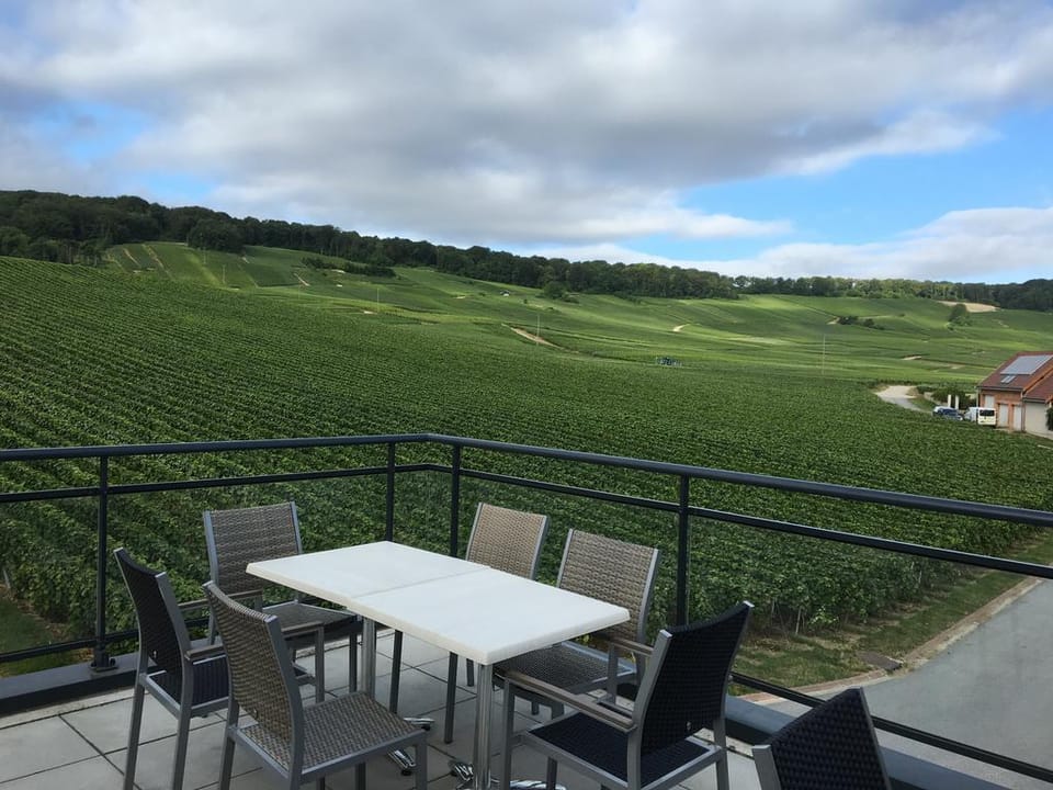 Dans Les Vignes Hotel in Grand Est