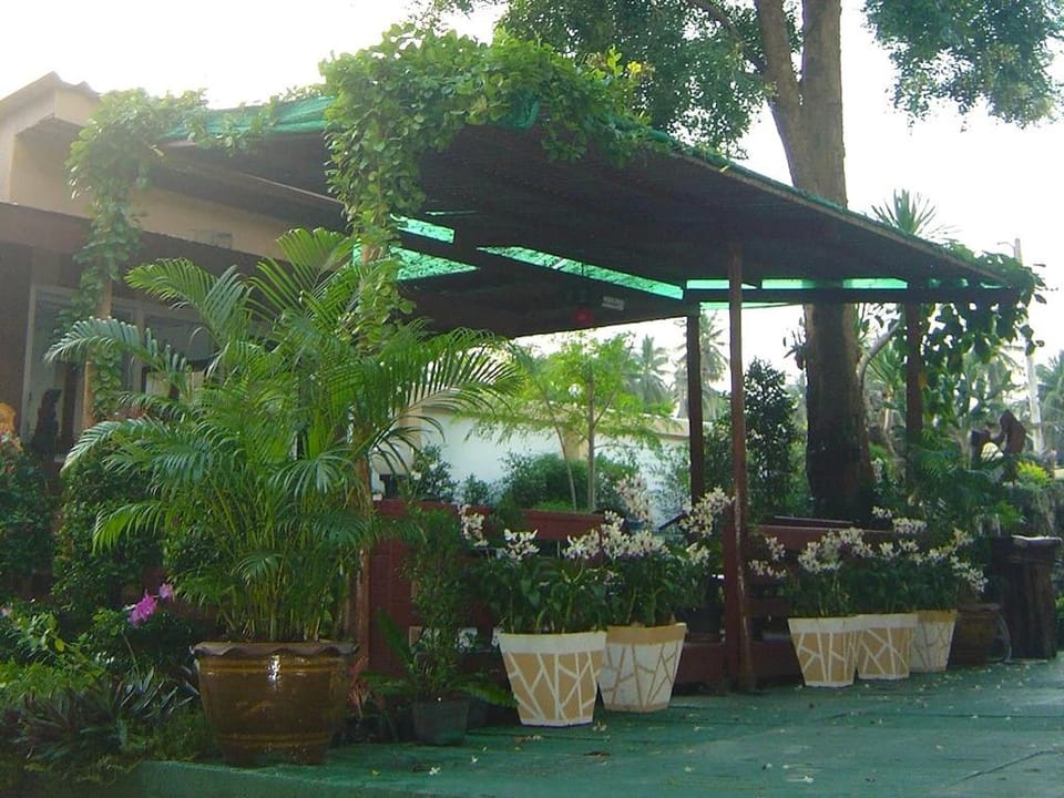 Coconut Home Resort Resort in Thailand