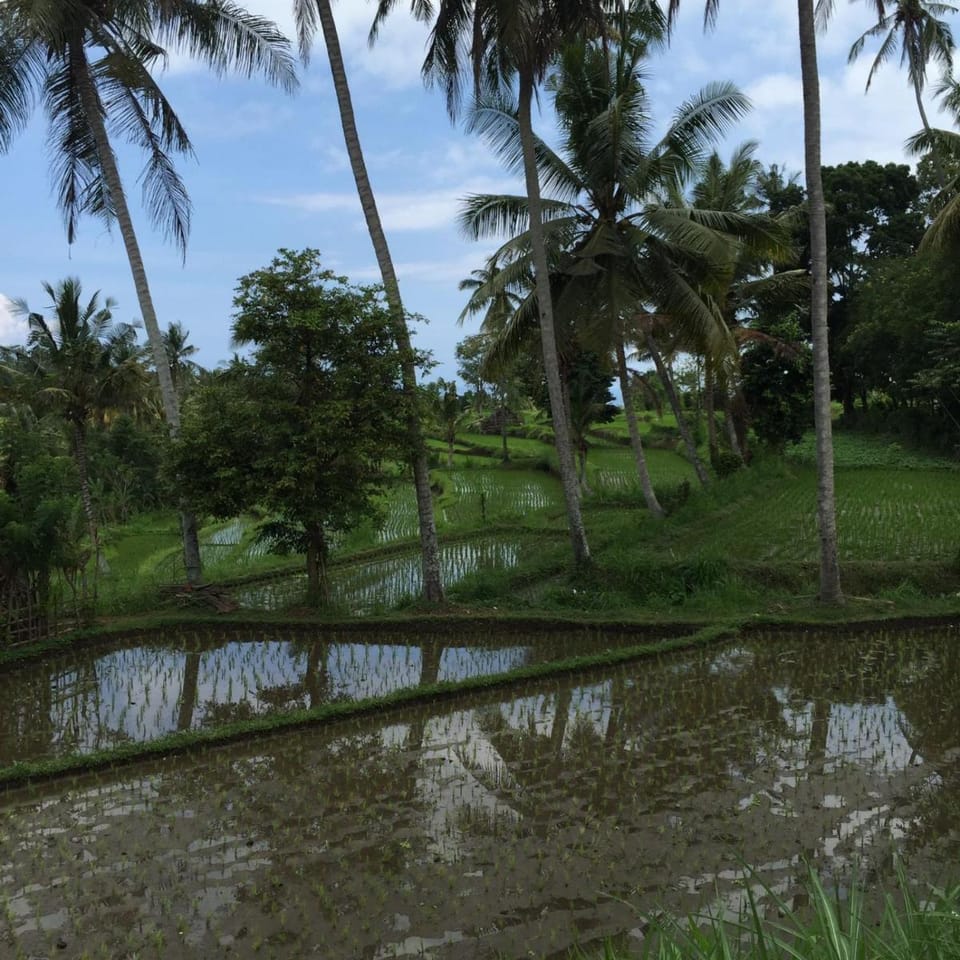 Bukit Asri Lodge Bed and Breakfast in Abang