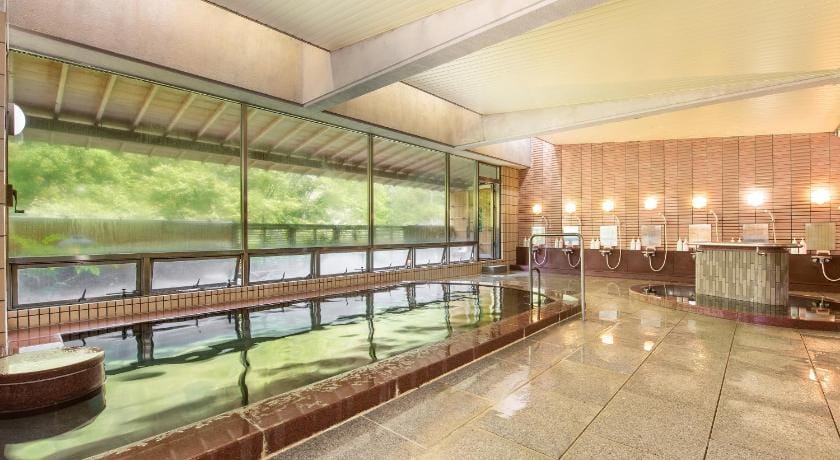 Shin Kabakawa Kanko Hotel Ryokan in Japan