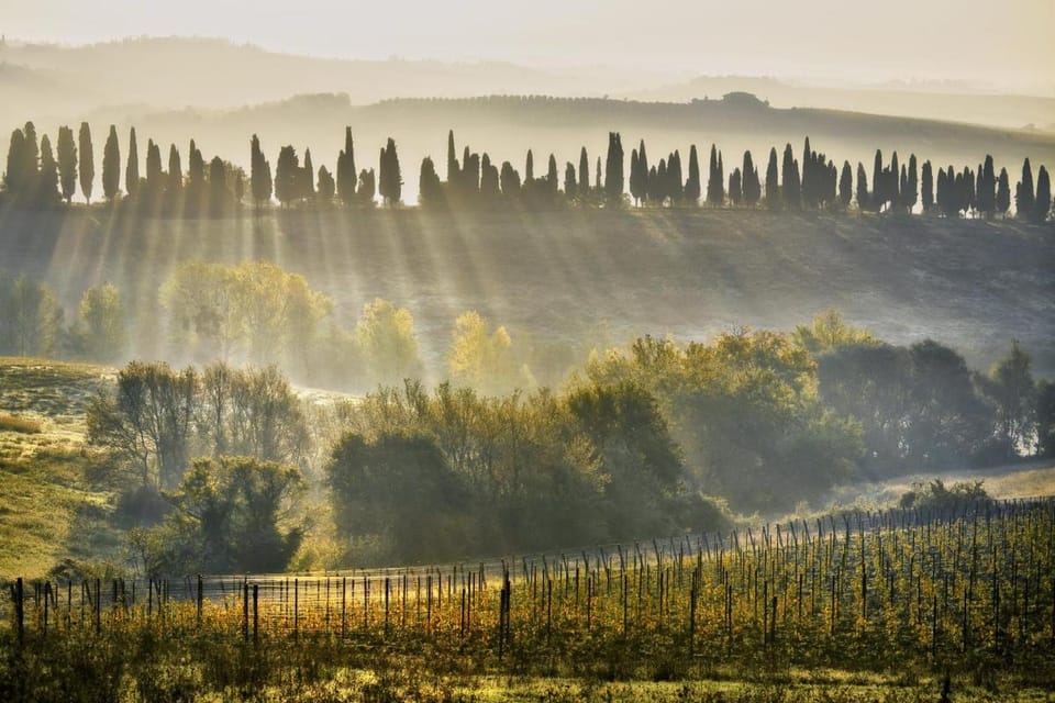 Poggio Baronti B&B Bed and Breakfast in Florence