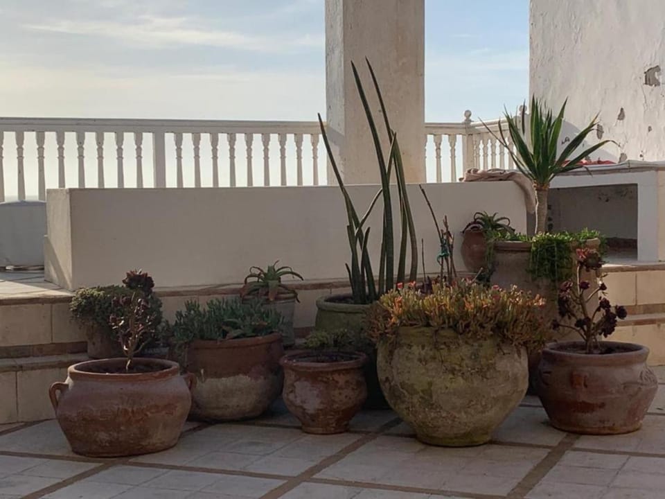 Dar Cherazade & spa Bed and Breakfast in Essaouira