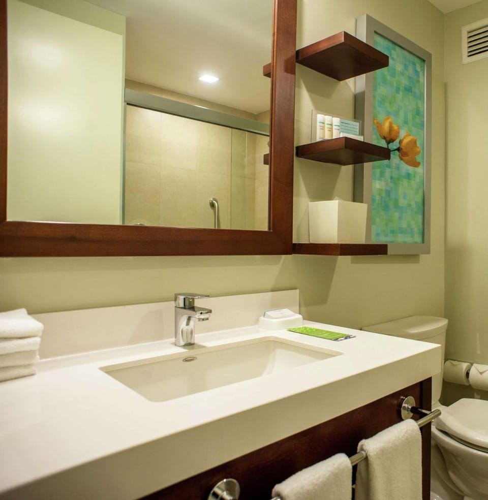 Hampton Inn by Hilton Merida Hotel in Merida
