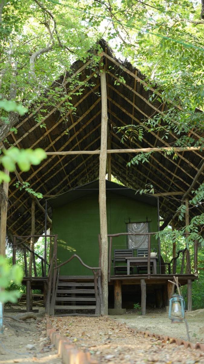 Camp Leopard - Yala Safari Glamping Campground/ 
RV Resort in Southern Province