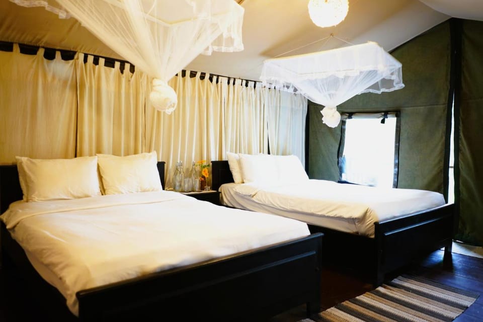 Camp Leopard - Yala Safari Glamping Campground/ 
RV Resort in Southern Province