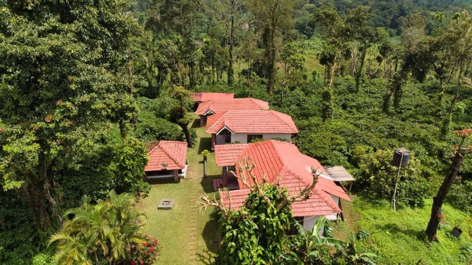 Coffee County Hotel in Kerala