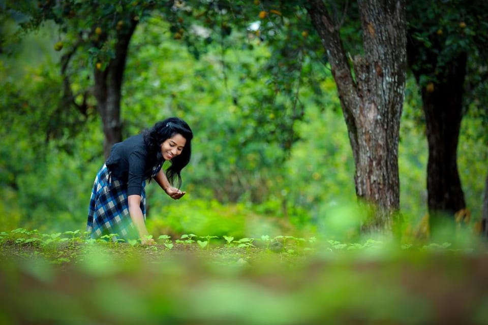 The Pear County Farm Stay in Kodaikanal