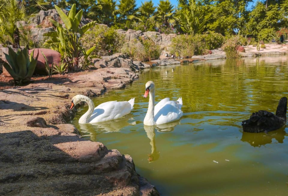 Le Domaine Limoune Bed and Breakfast in Souss-Massa