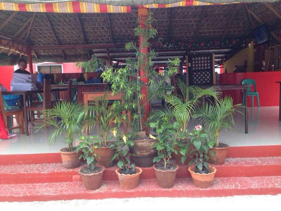 NiteLife Transient House Hotel in Ilocos Region