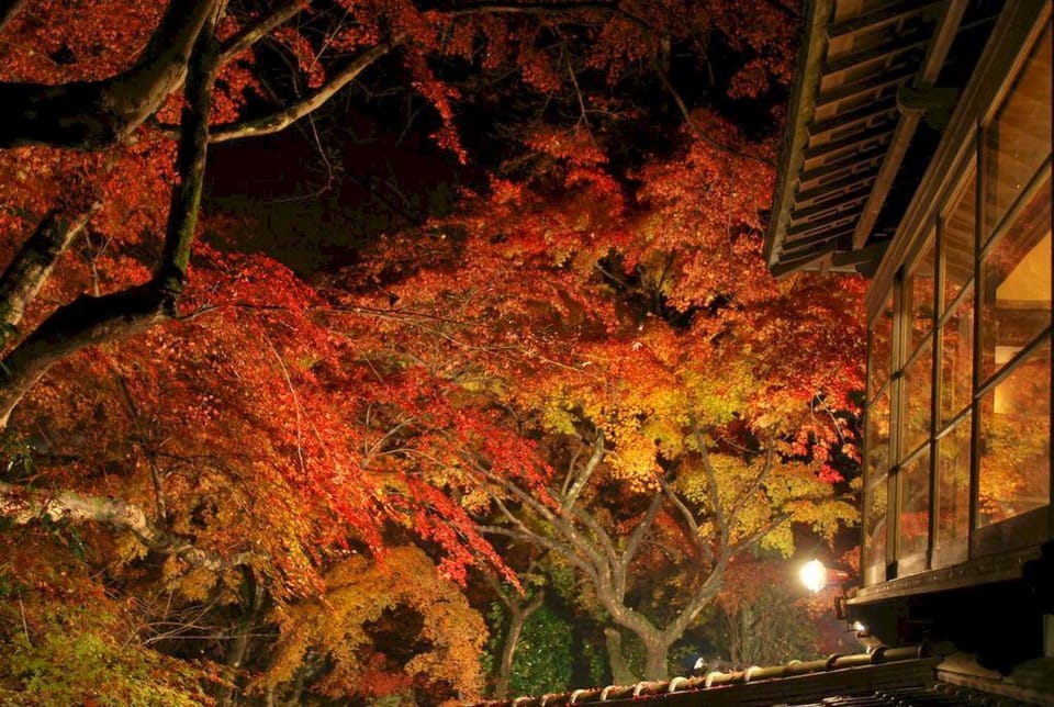 Akizuki Spa Ryokan Seiryuan Hotel in Fukuoka Prefecture