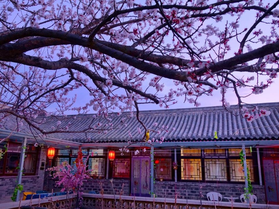 Beijing Badaling Great Wall Cao Courtyard Hostel Country House in Beijing