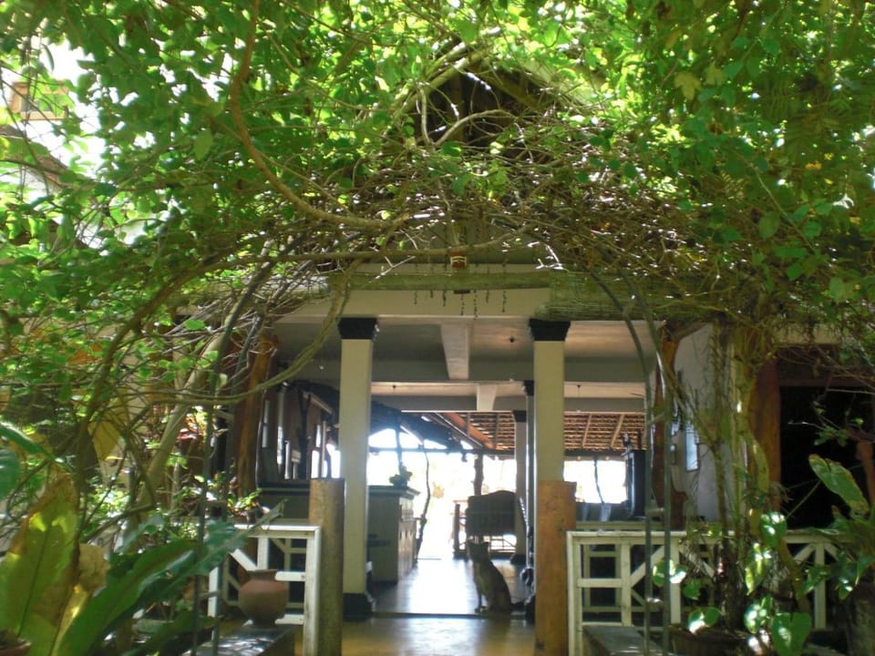 Ibisbird Beach Bungalows, Sport, Spa and Restaurant Bed and Breakfast in Tangalle