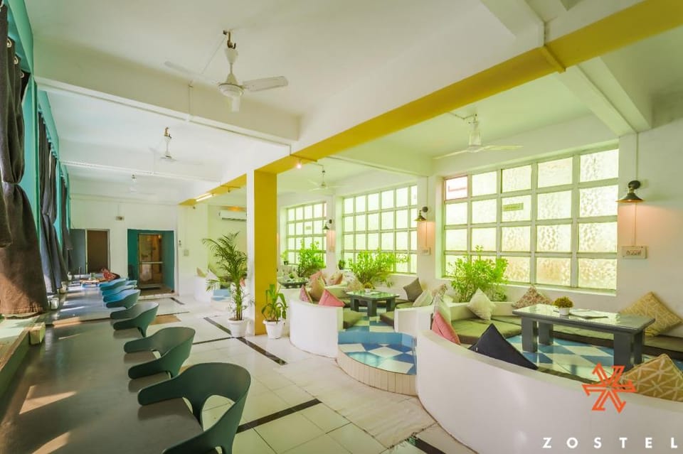 Zostel Pushkar Hostel in Rajasthan