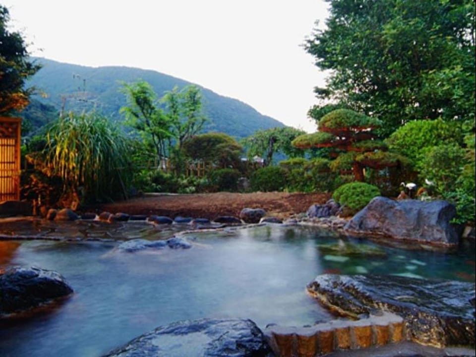 Onsen Ryokan Yusakaso Hotel in Hakone