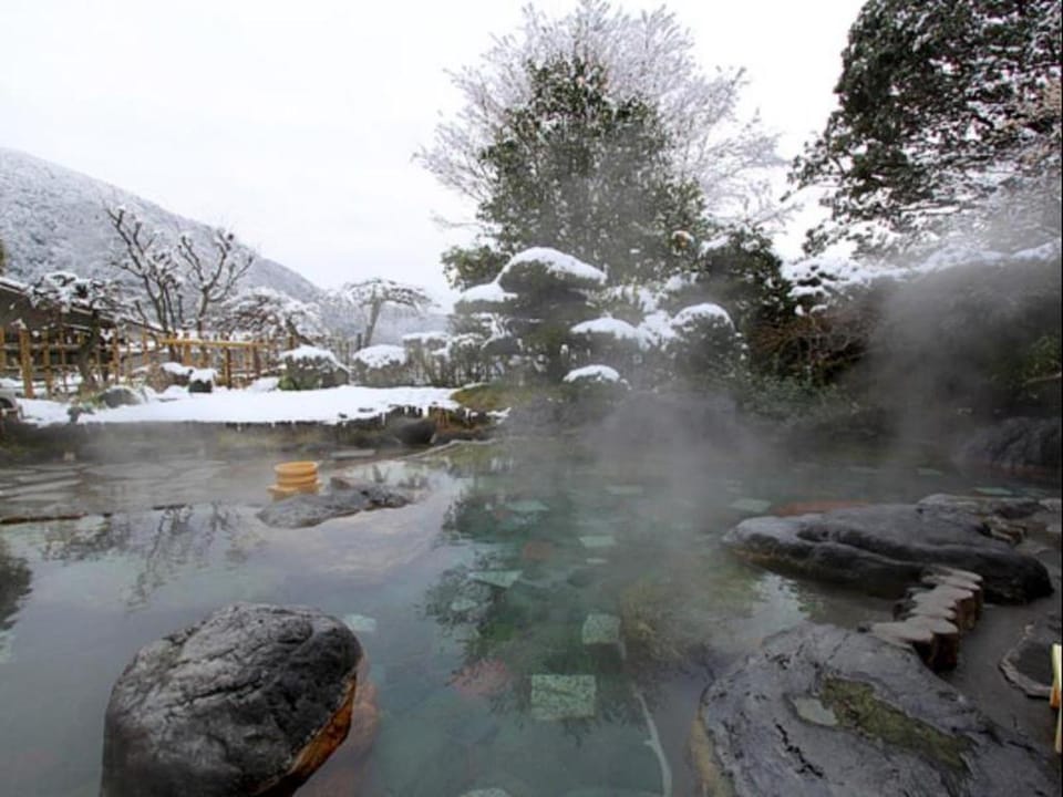 Onsen Ryokan Yusakaso Hotel in Hakone