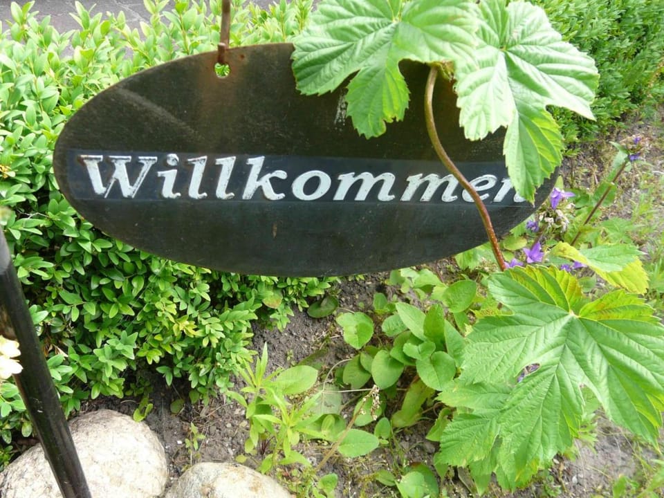 Pension Zur Kirchsee Bed and Breakfast in Mecklenburg-Vorpommern, Germany