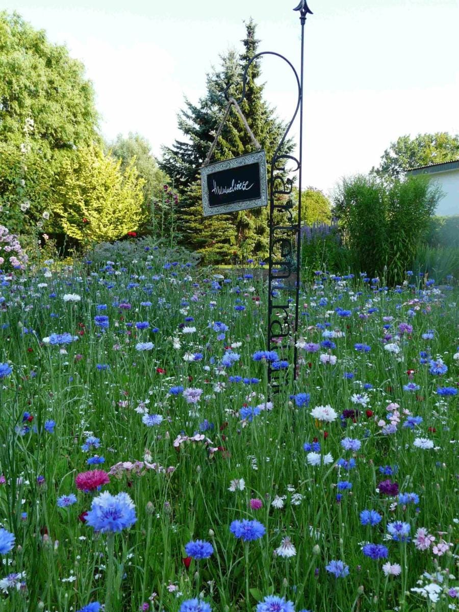 Pension Zur Kirchsee Bed and Breakfast in Mecklenburg-Vorpommern, Germany
