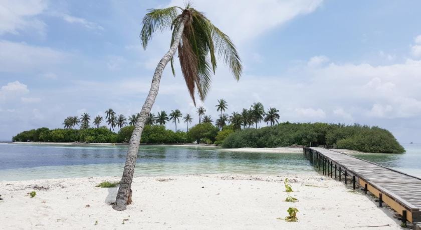 Kaafu Inn Bed and Breakfast in Maldives