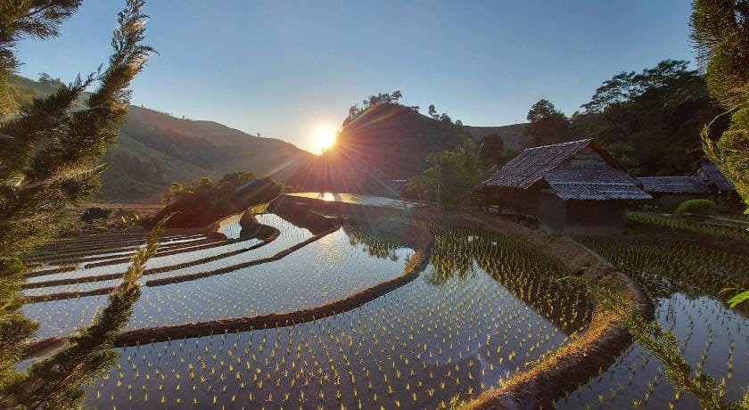 KowitFarmstay Farm Stay in Thailand