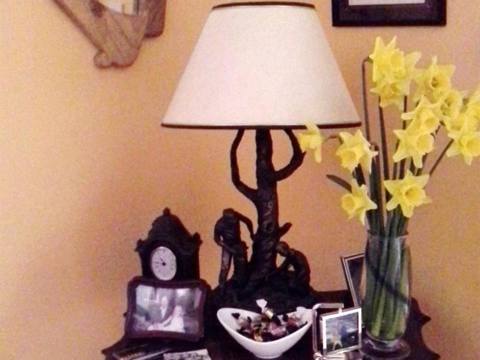 Blossom Hill Bed and Breakfast Bed and Breakfast in County Clare