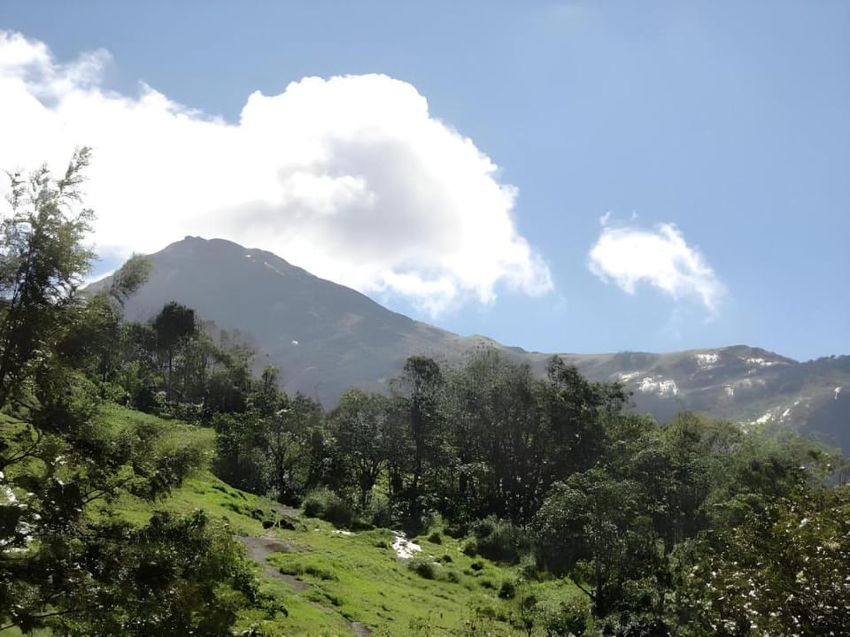 Eagle Mountain Resort Munnar Hotel in Kerala