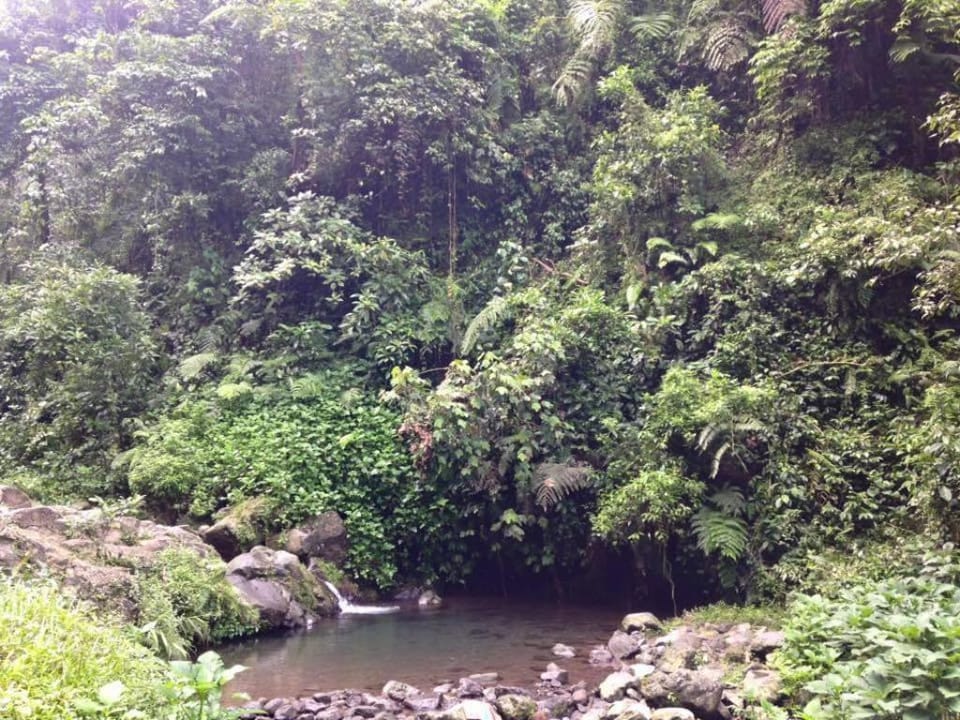 Herman Lantang Camp Luxury tent in West Java