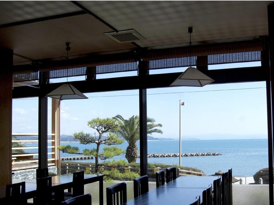 Tosaryu Onsen Sanyoso Ryokan Hotel in Japan