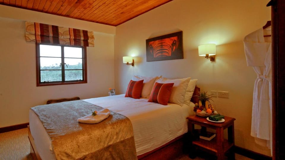 The Ark Lodge Lodge in Kenya
