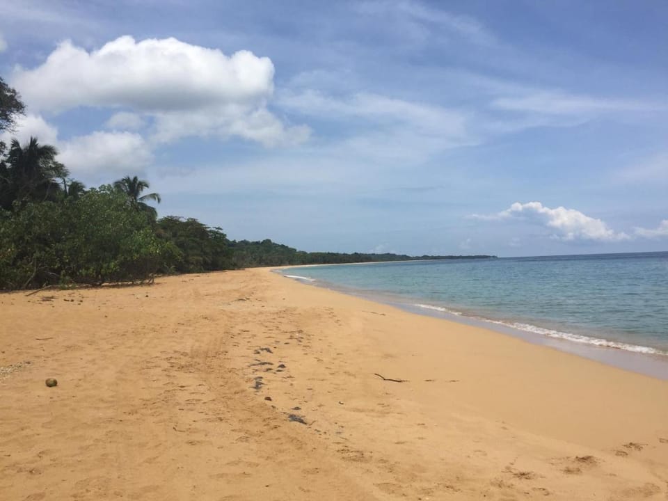 The Hummingbird Hotel in Bocas del Toro Province