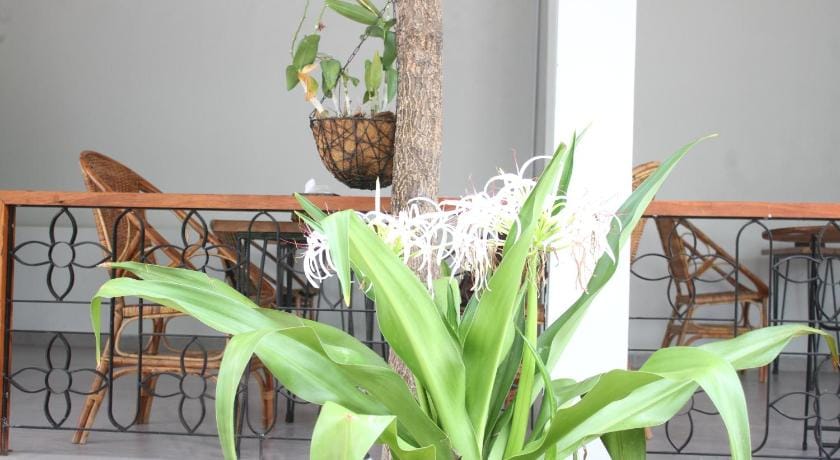 My Parents Guesthouse Hotel in Cambodia
