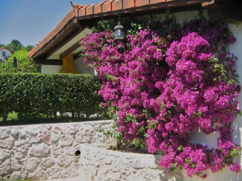 El Terrero Vacation rental in Western coast of Cantabria