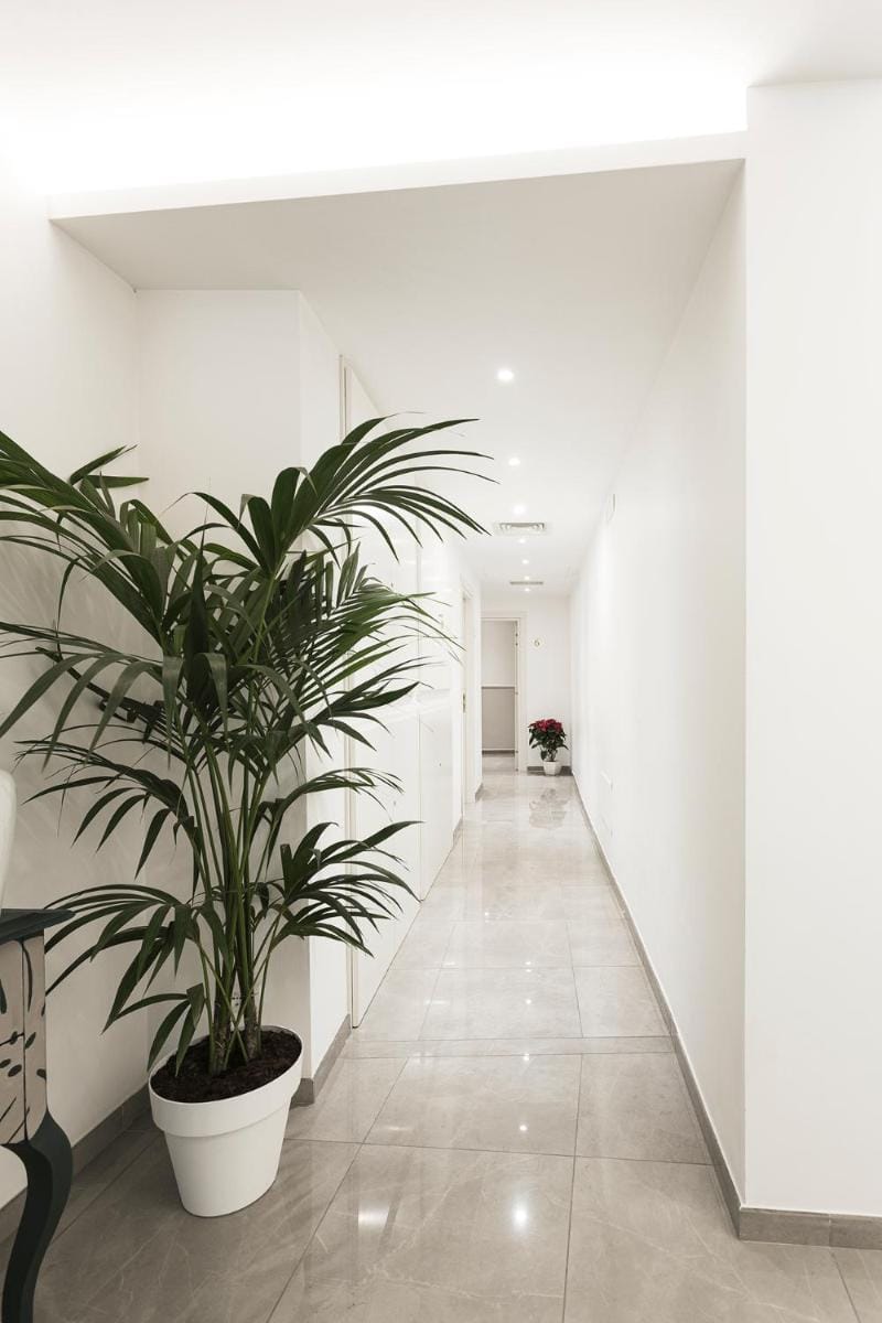 Vaticano Luxury Guest House Bed and Breakfast in Rome