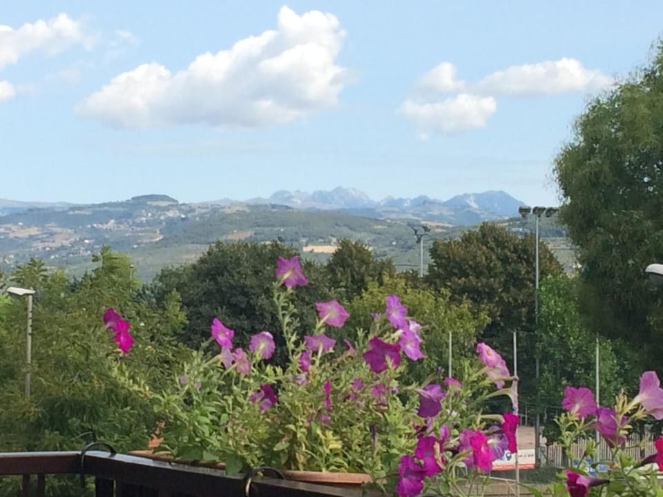 B&B Pergolesi Bed and Breakfast in Verona