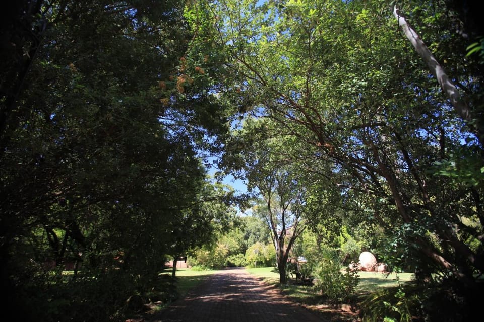 Andante Lodge Bed and Breakfast in Pretoria