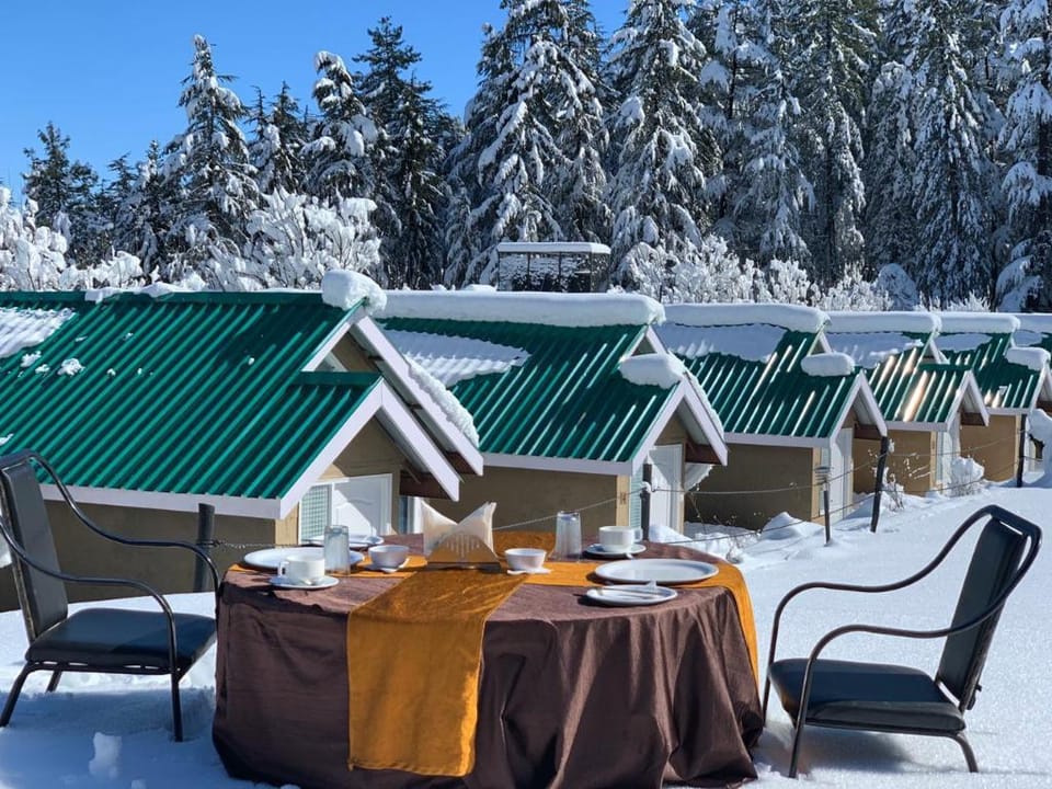 Mashobra Greens Shimla Luxury tent in Shimla