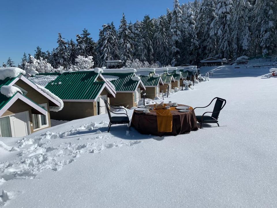 Mashobra Greens Shimla Luxury tent in Shimla