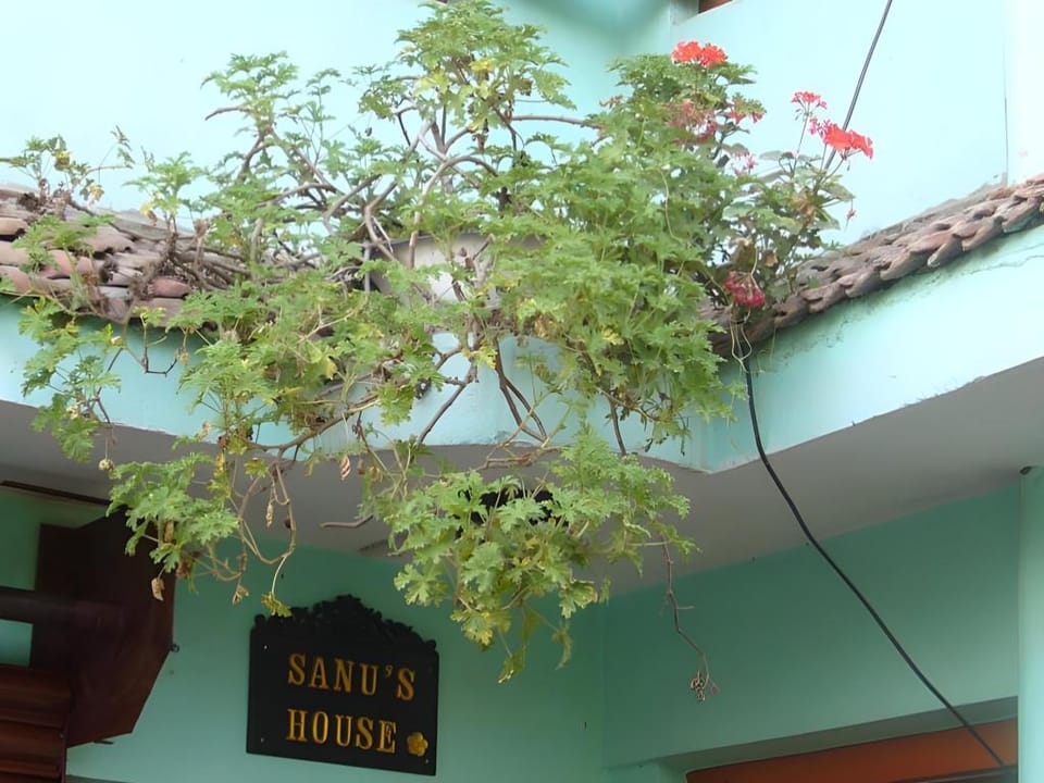 Sanus House Hostel and Homestay Vacation rental in Bagmati Province, Nepal