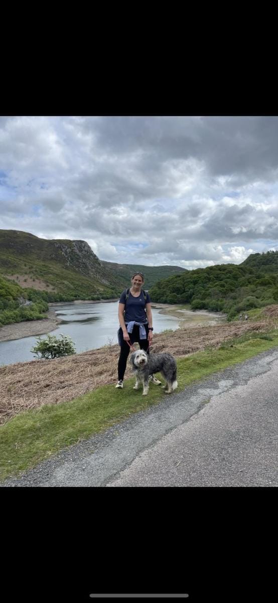 Bronfelin & Troed-y-Rhiw Holiday Cottage Vacation rental in Treflys