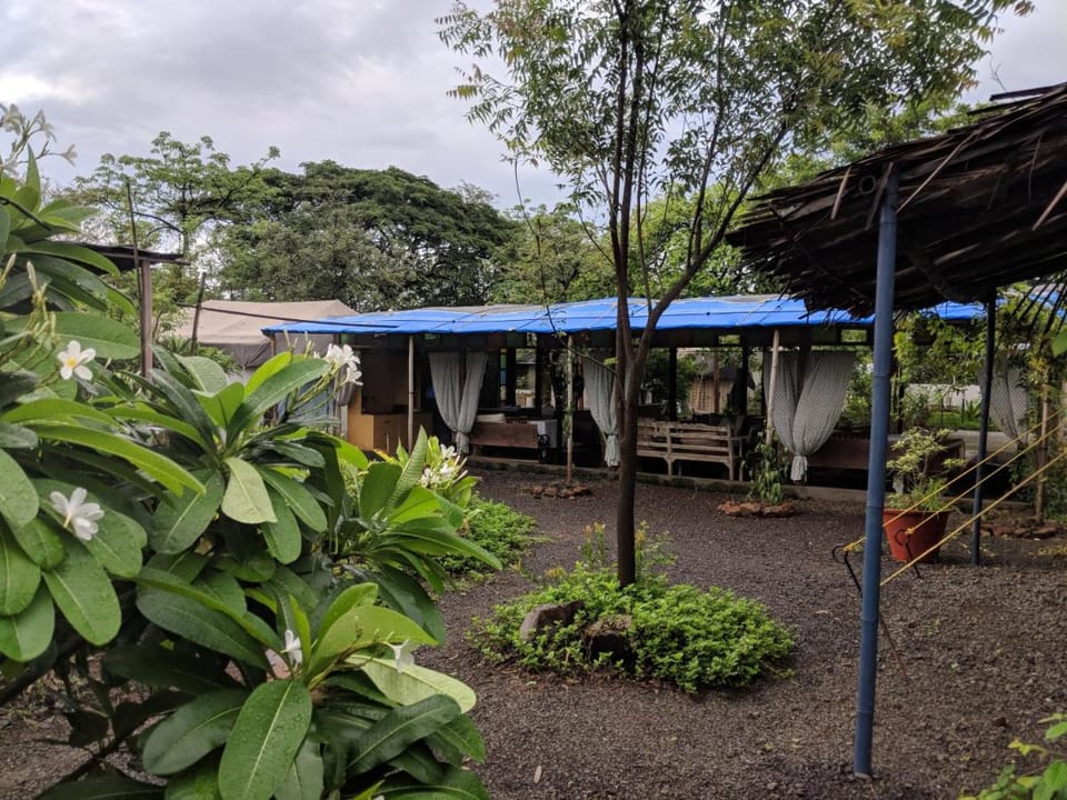 Bohemyan Blue Stay Luxury tent in Maharashtra