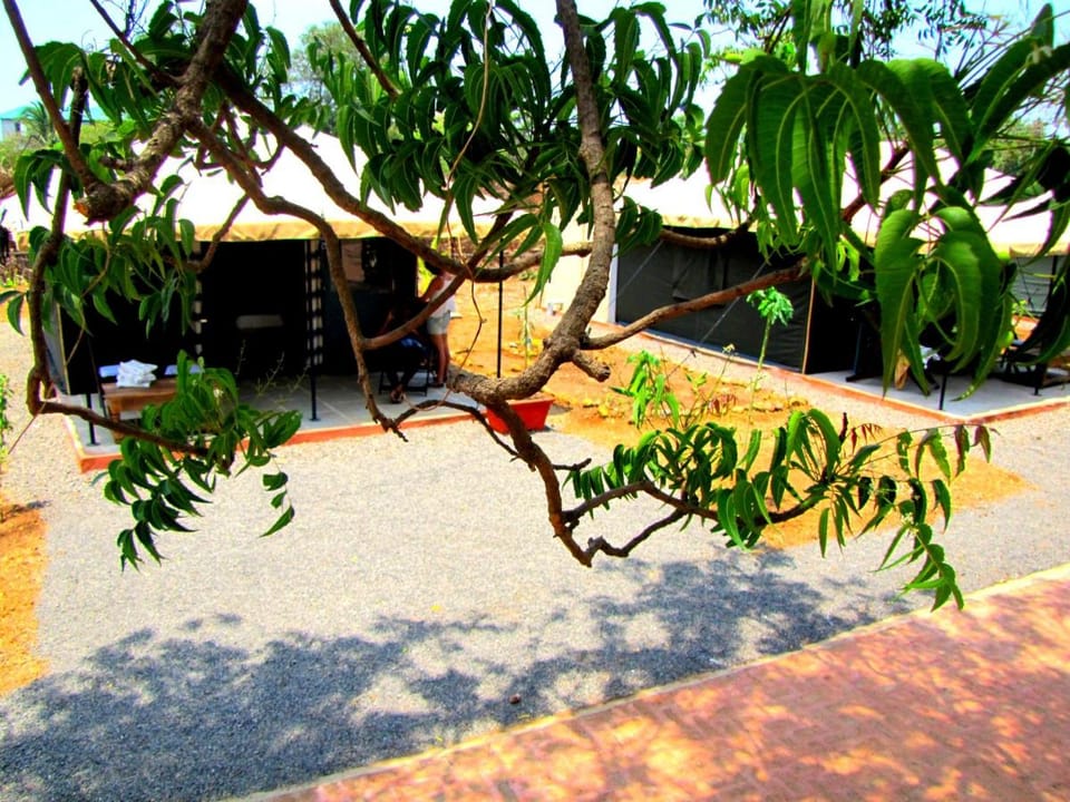 Bohemyan Blue Stay Luxury tent in Maharashtra