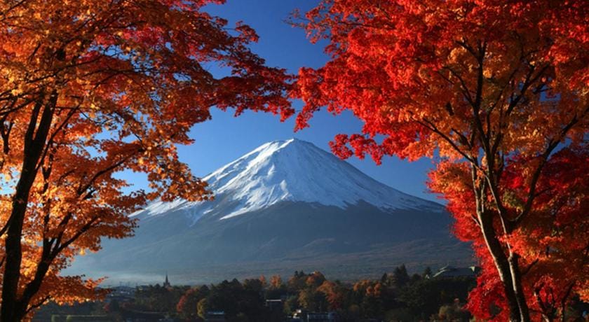 Guesthouse Fujinokura Kawaguchiko Ekimaeten Bed and Breakfast in Shizuoka Prefecture