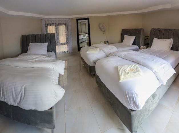 Safari Desert Camp Resort in Oman