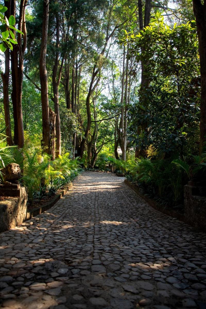 Amomoxtli Hotel in Tepoztlan